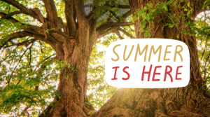 A picture of trees with a caption that says 'Summer is Here!'